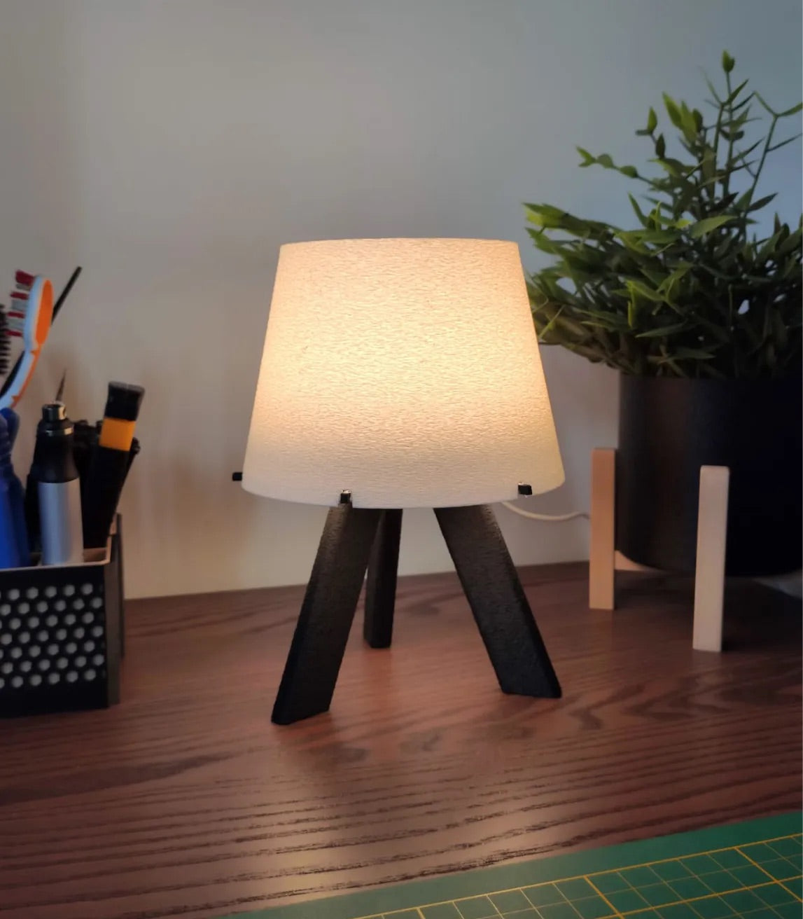Tripod Shade — photo 3
